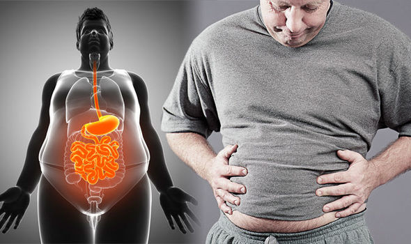 Viszerales Fett Abbildung